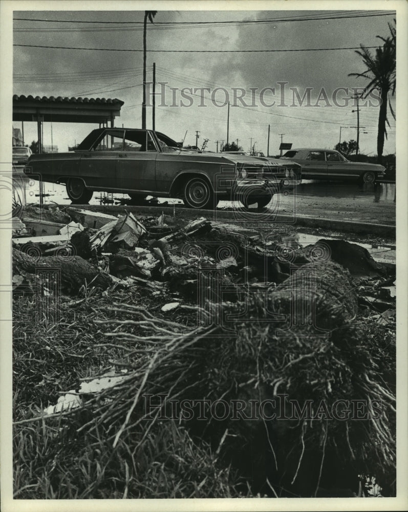 1967 Press Photo Damaged cars after Hurricane Beulah in Brownsville, Texas