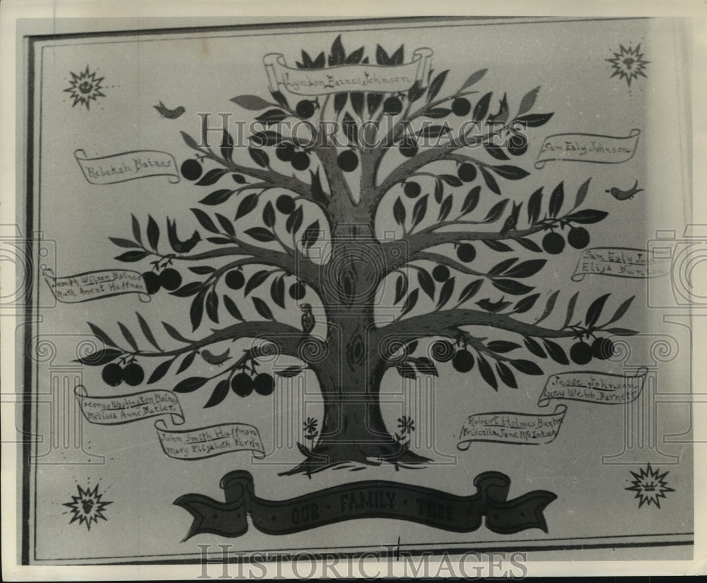 1962 Press Photo Lyndon B. Johnson family tree artwork - hca38678