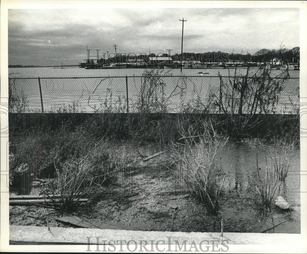 1973 Press Photo Flooding near Lakewood Yacht Club in Texas - hca38964