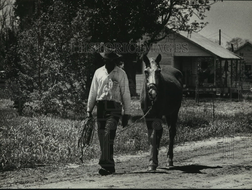 1964 Press Photo Worker walks horse at Little Eva Plantation in Louisiana.- Historic Images