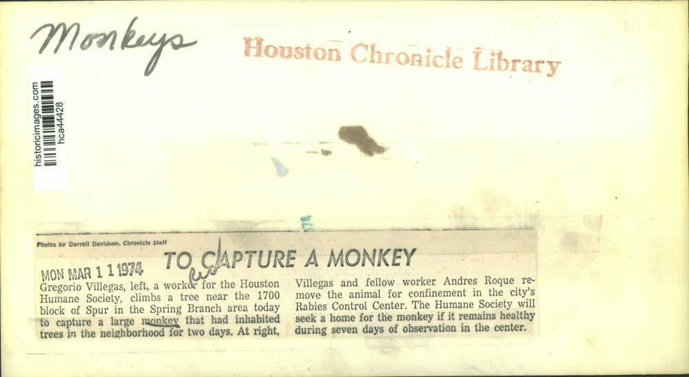 1974 Press Photo Gregorio Villegas, Houston Humane Society, with monkey, Texas