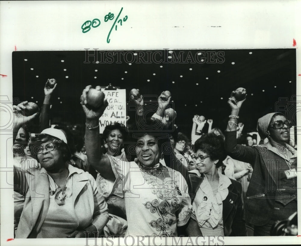 1977 Press Photo Cheering crowd at National Women's Conference in Houston