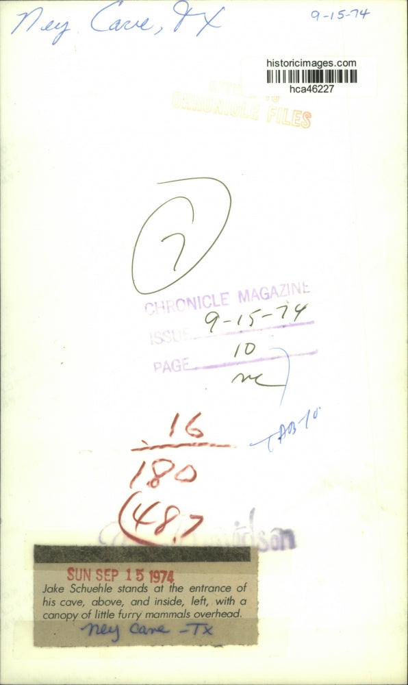 1974 Press Photo Jake Schuehle standing under bats in Ney Cave, TX - hca46227