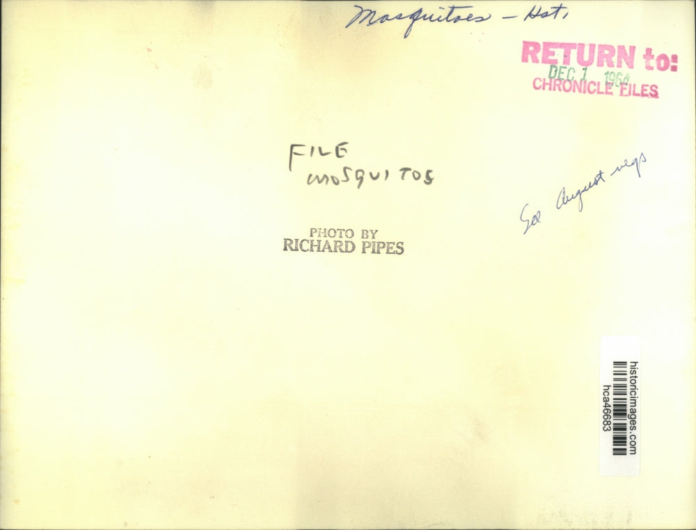 1964 Press Photo Man sprays for mosquitoes in a Houston shed - hca46683