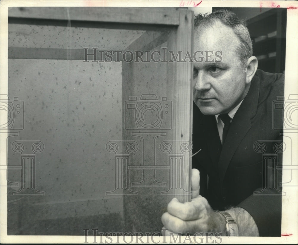 1972 Press Photo G.V. Chambers observes mosquitoes-Houston Area - hca47171