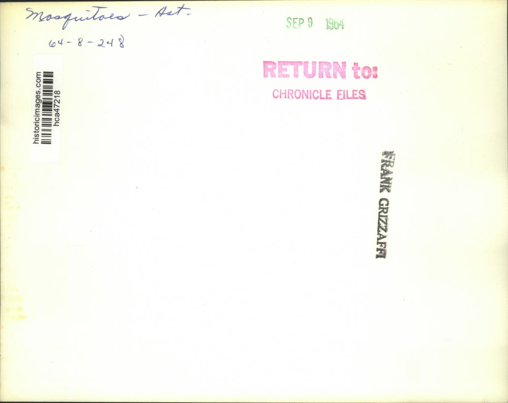 1964 Press Photo Building peeking out through mosquito fog, Houston, Texas