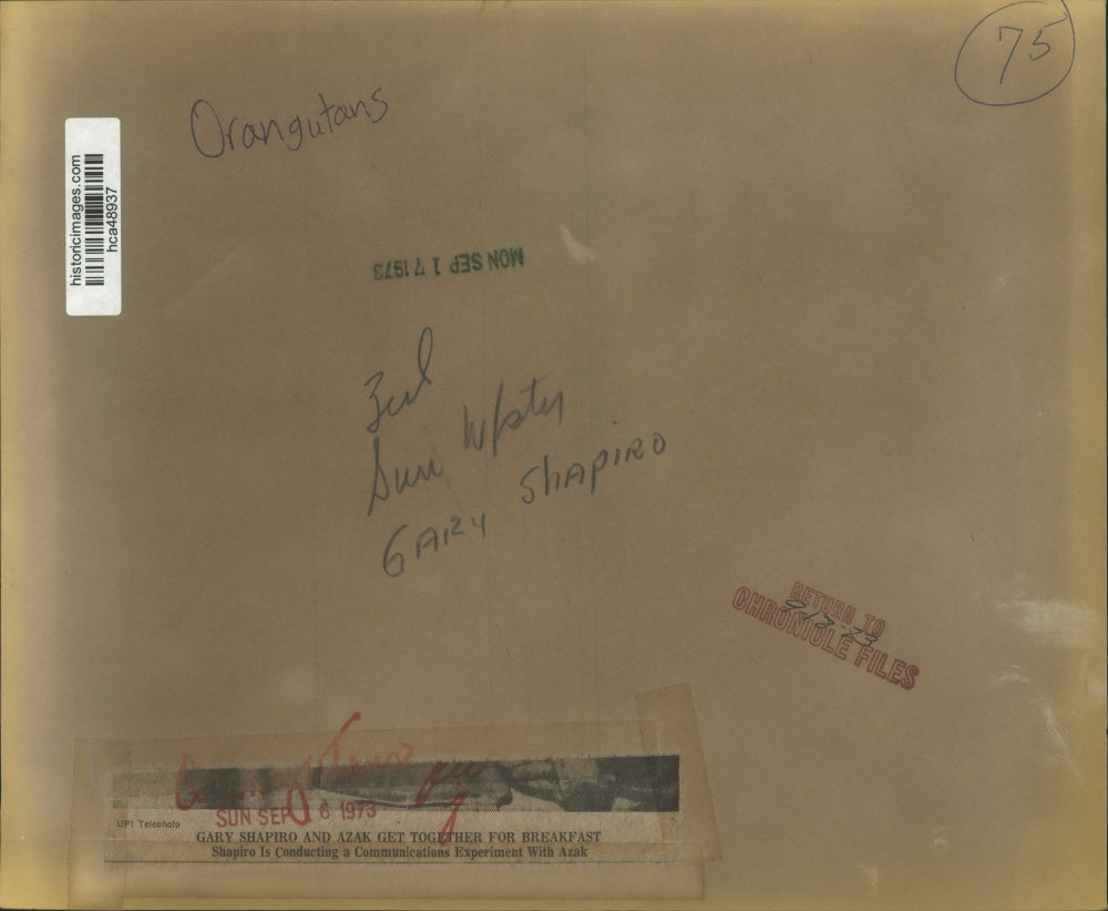 1973 Press Photo Student Gary Shapiro and Azak the Orangutan in California