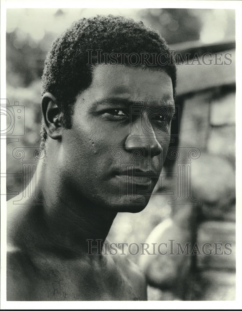 1993 Press Photo Dennis Haysbert stars as Davis in "Alex Haley's Queen" on CBS- Historic Images