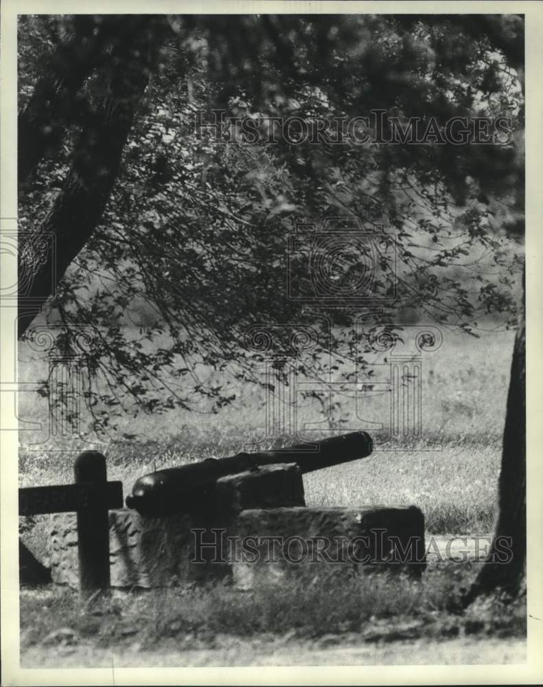 1963 Press Photo Cannon near picnic area at San Jacinto Battleground, Texas
