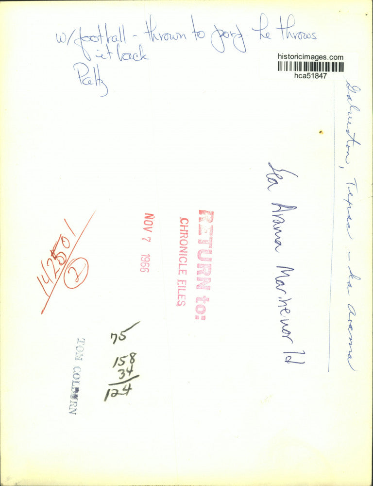 1966 Press Photo Porpoise with football at Sea Arama Marineworld in Galveston