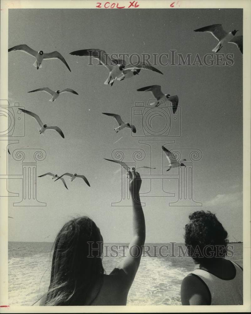 1974 Press Photo Sea Gulls Follow Bolivar-Galveston Ferry to Catch Snacks, Texas