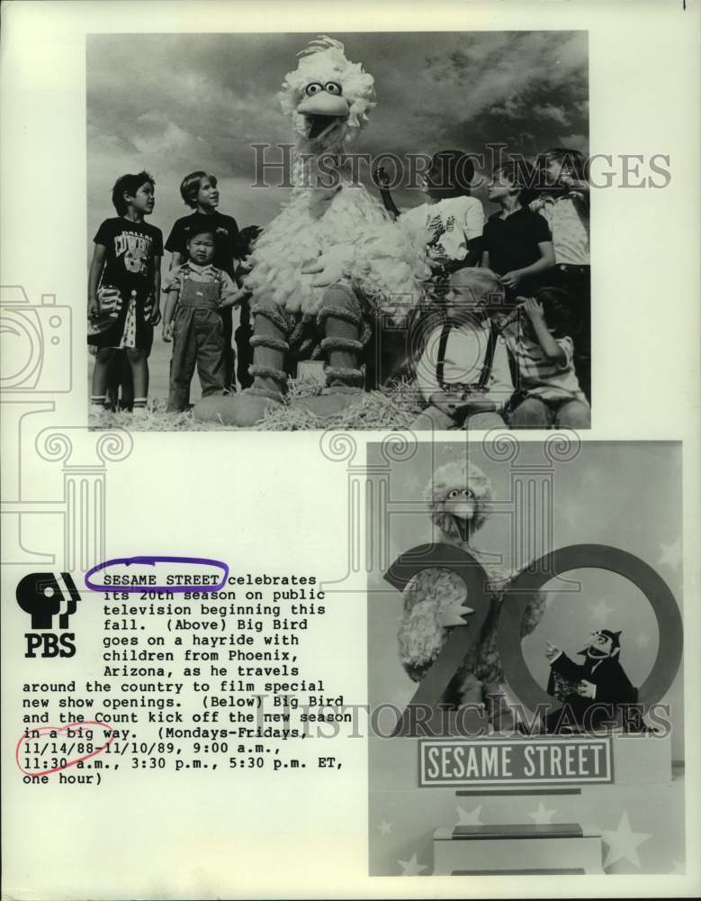 1988 Press Photo Children with Big Bird on the Television Show &quot;Sesame Street&quot;- Historic Images