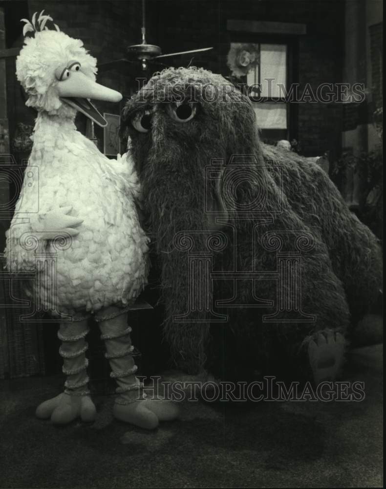 1985 Press Photo Big Bird with Mr. Snuffleupagus on &quot;Sesame Street&quot; - hca52311- Historic Images