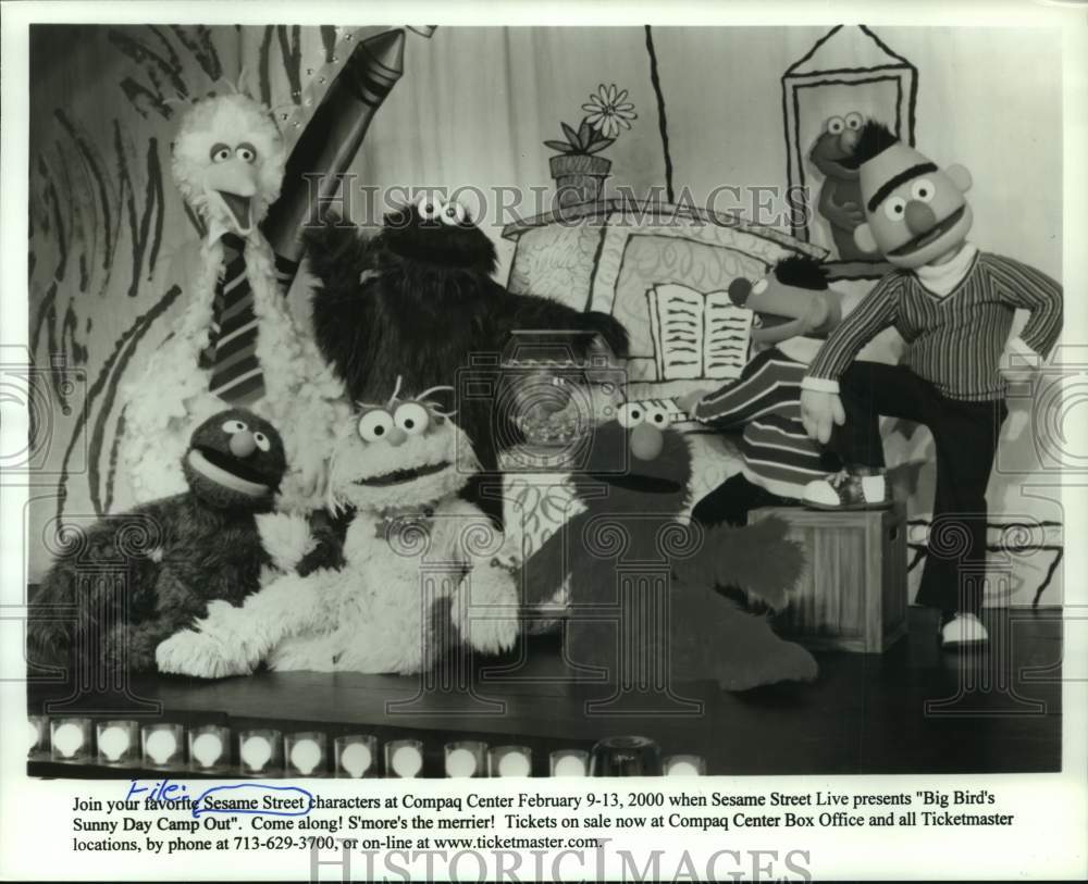 2000 Press Photo Sesame Street Characters In "Big Bird's Sunny Day Camp Out"- Historic Images