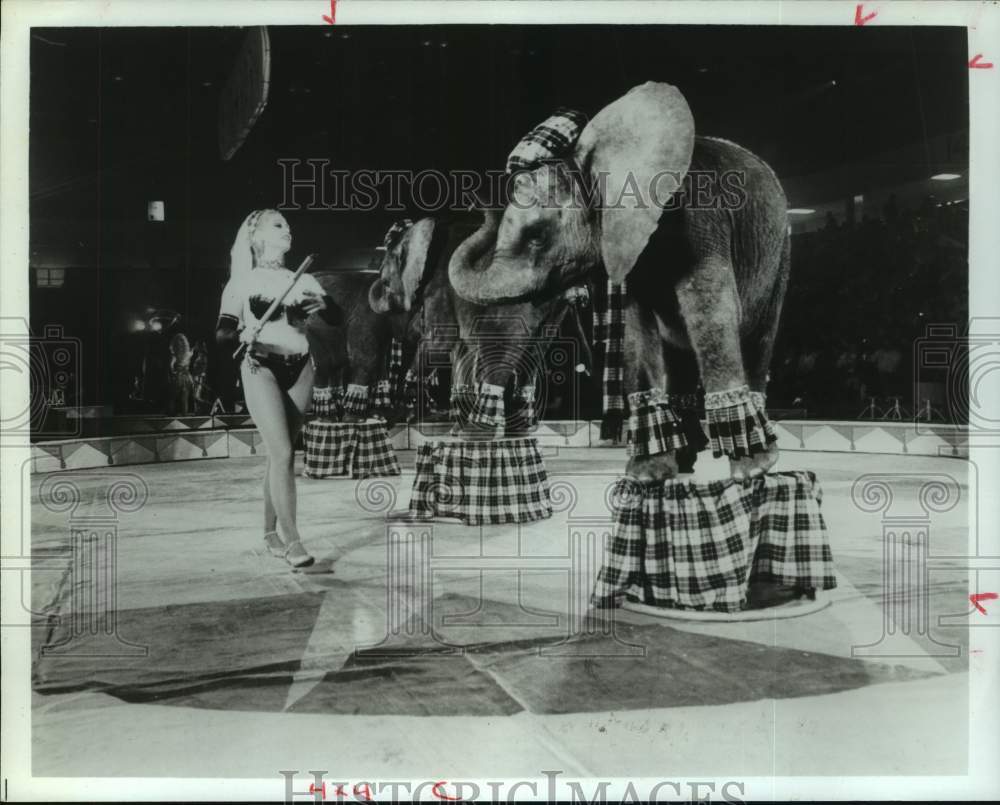 1986 Press Photo Elephants perform at Arabia Temple Shrine Circus, Houston Texas- Historic Images