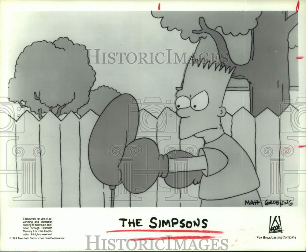 1982 Press Photo Bart Simpson, The Simpsons, cartoon television series- Historic Images