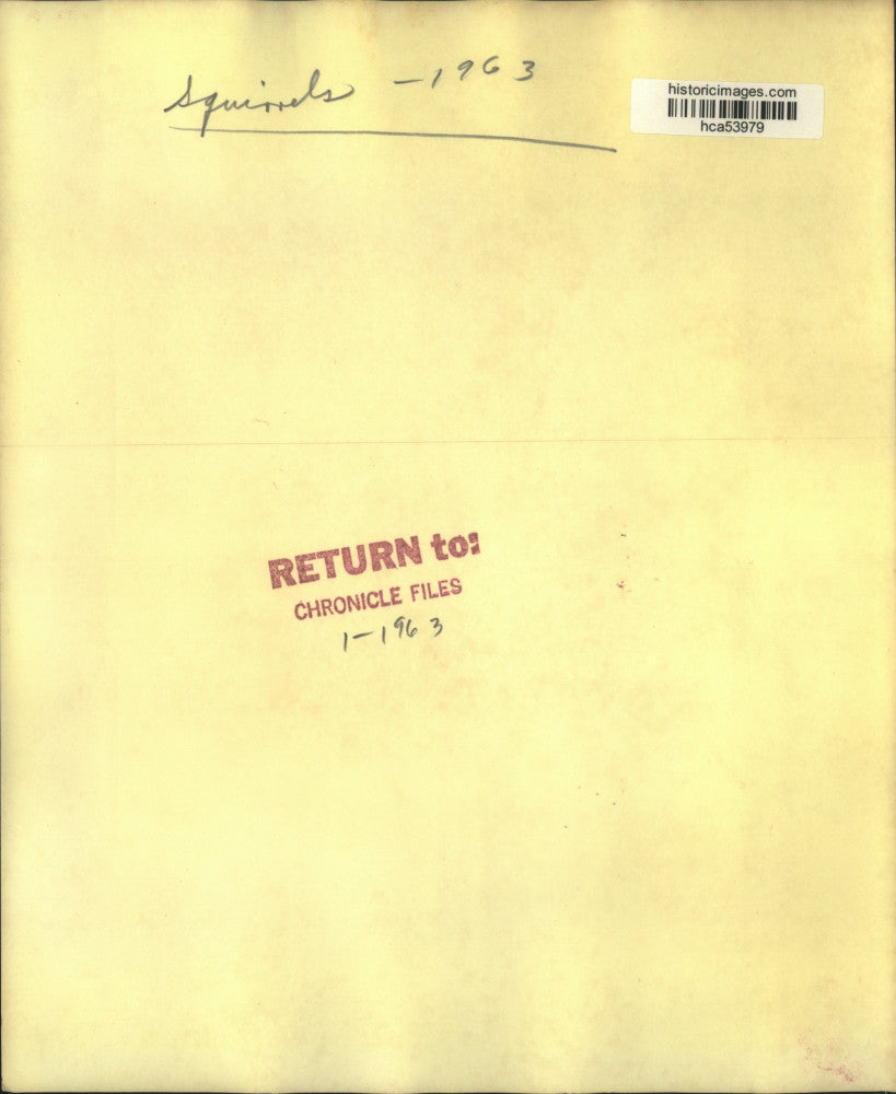 1963 Press Photo Adorable Squirrel Having a Snack - hca53979