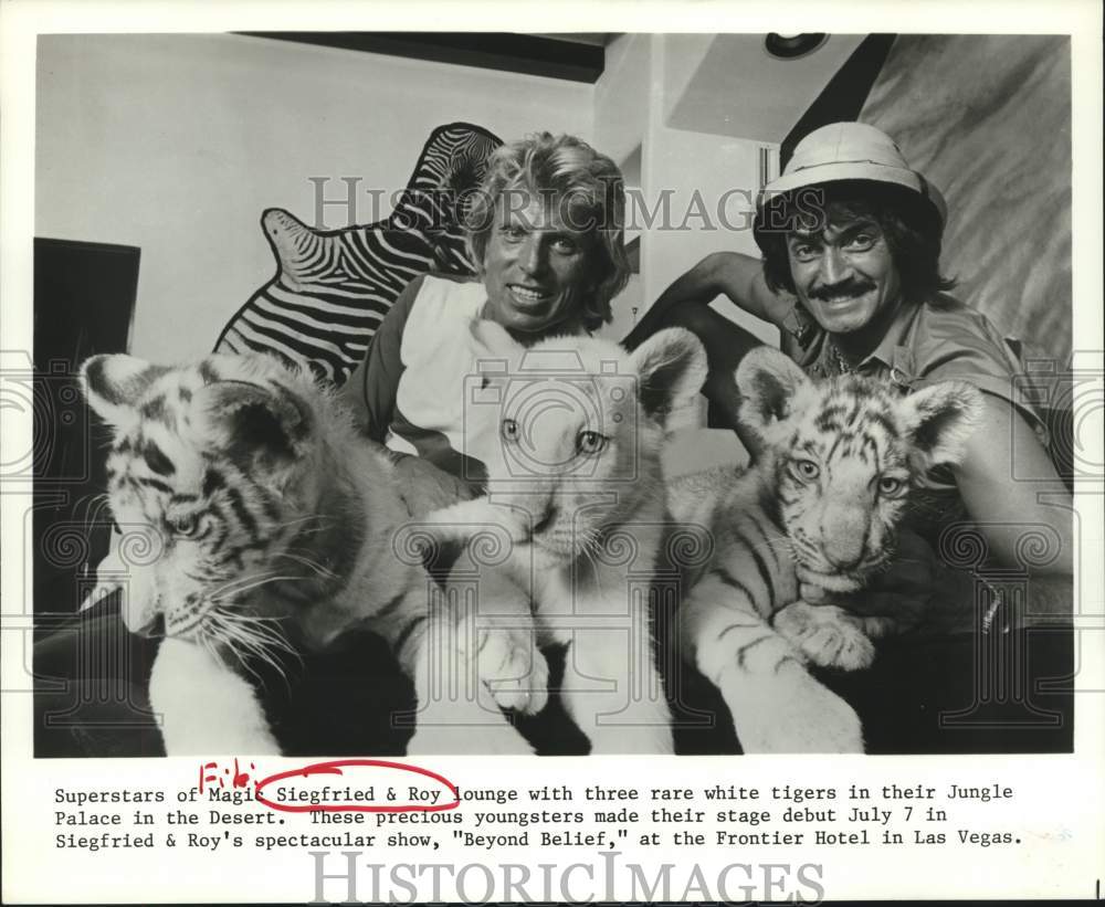 1984 Press Photo Magicians Siegfried &amp; Roy With Three White Tigers - hca54302- Historic Images