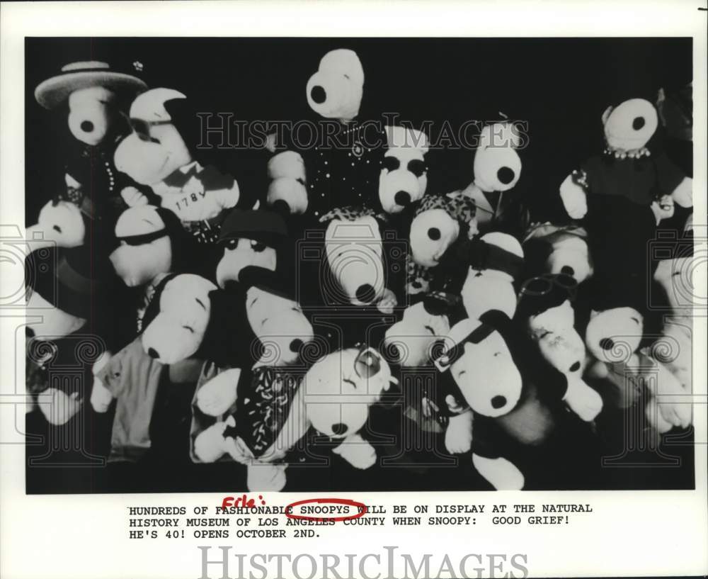 1991 Press Photo Snoopys on Display, Natural History Museum, Los Angeles County- Historic Images