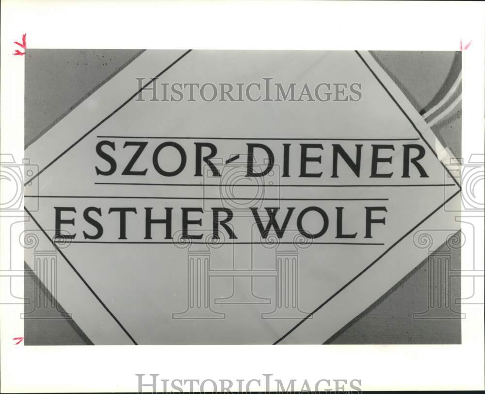 1987 Press Photo Szor-Diener Esther Wolf Fashion Shop Sign - hca56103- Historic Images