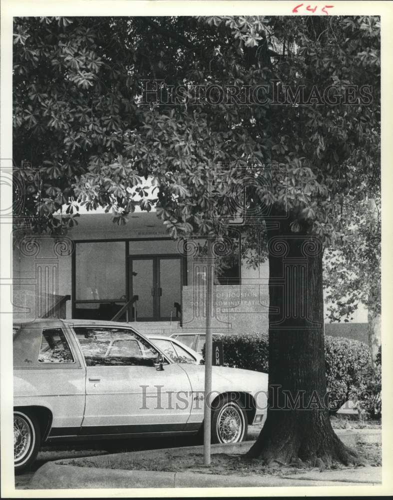 1978 Press Photo Sign Hidden by Overgrowth of Tree in Houston, Texas - hca56437- Historic Images