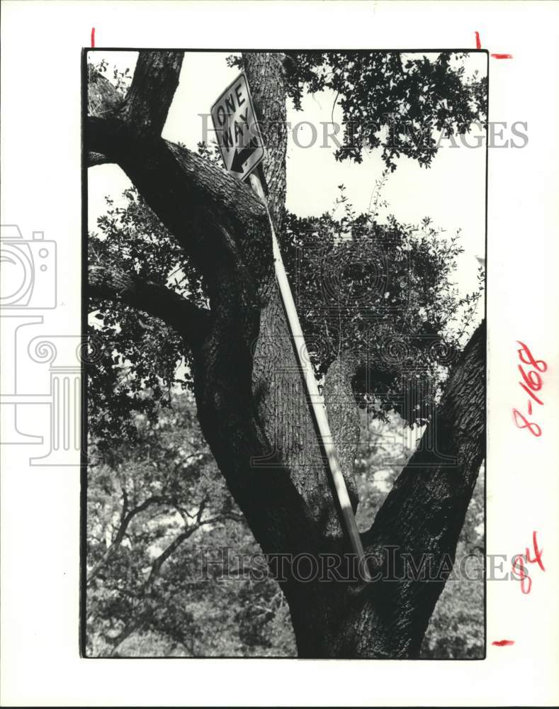 1982 Press Photo Street Sign Seems to be Lost in Hermann Park, Houston, Texas- Historic Images