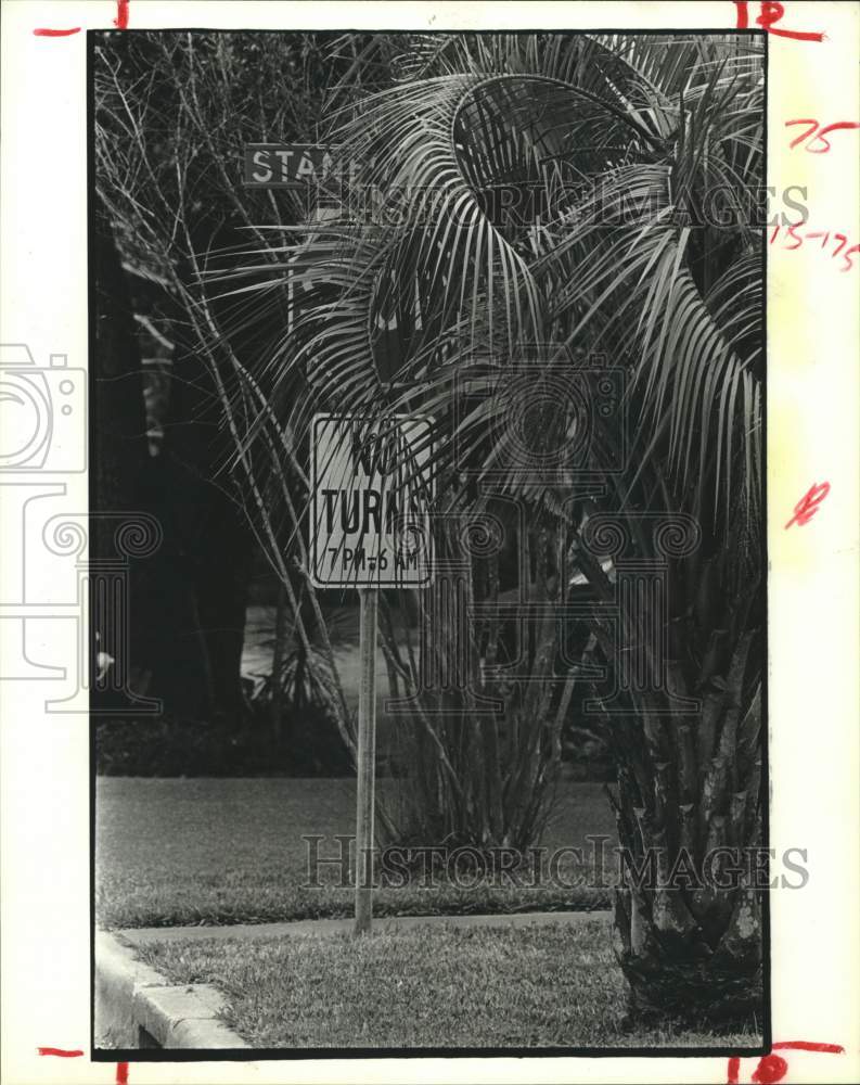 1985 Press Photo Harold Street Stop Sign Hidden by Palm in Houston, Texas- Historic Images