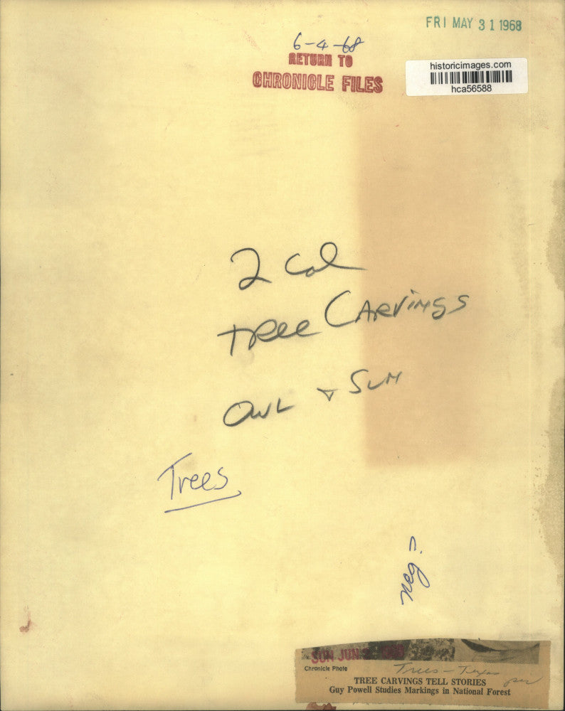 1968 Press Photo Guy Powell Studies Tree Carvings at National Forest in Texas