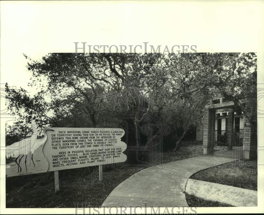 1961 Press Photo Nature center in whooping crane habitat in Texas - hca58676- Historic Images