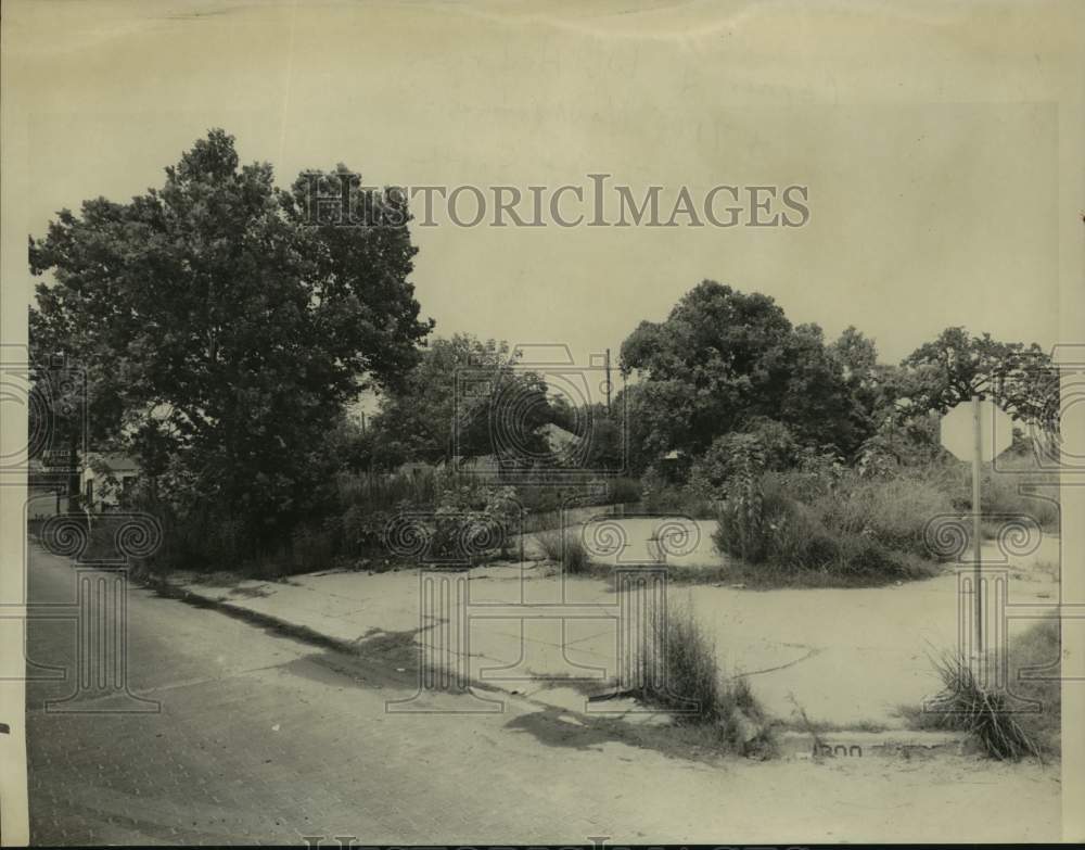 1960 Press Photo Overgrown weeds on vacant lot on West Hedrick in Houston, Texas- Historic Images