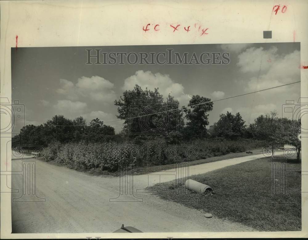 1960 Press Photo A lot overgrown with weeds on Bunte Street in Houston, Texas- Historic Images