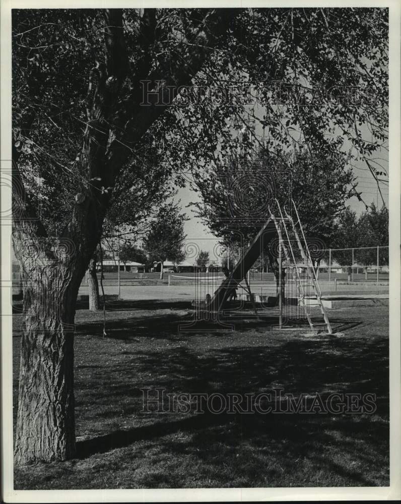 1967 Press Photo Allen Morton and Children in Wink, Texas, Park - hca59384- Historic Images