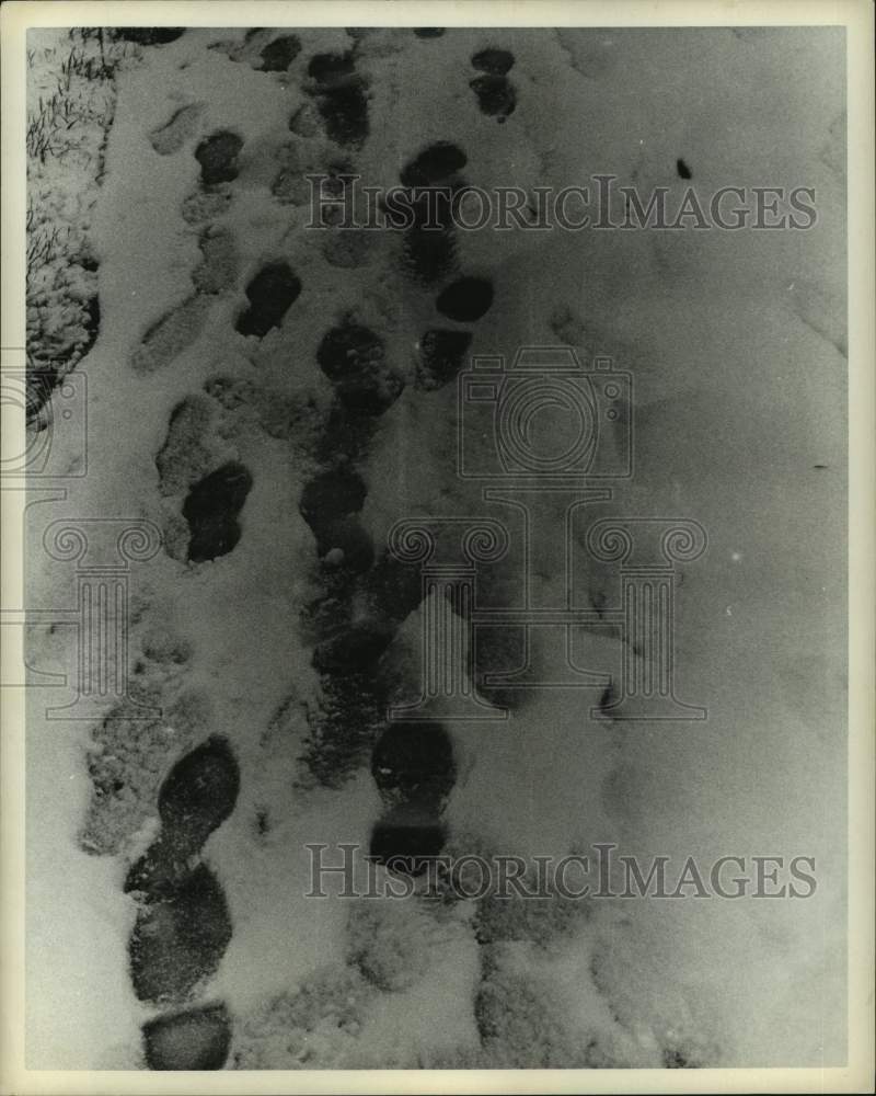 1969 Press Photo Footprints in the Houston Snow - hca59832- Historic Images