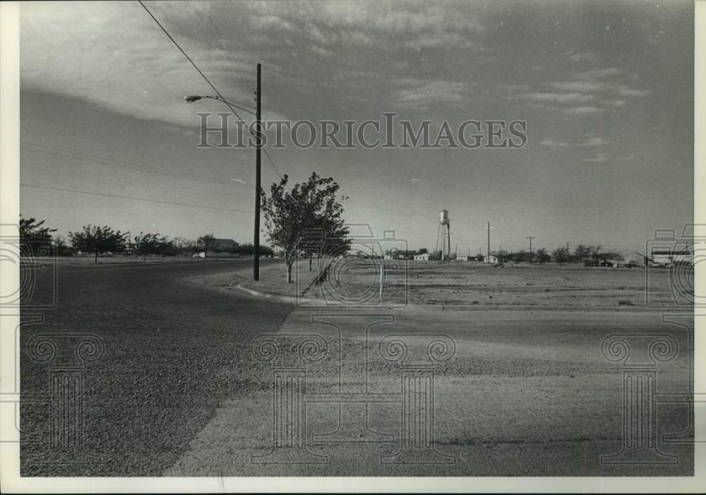 1967 Press Photo Sidewalks and trees, but no buildings on Hendrick in Wink, TX- Historic Images