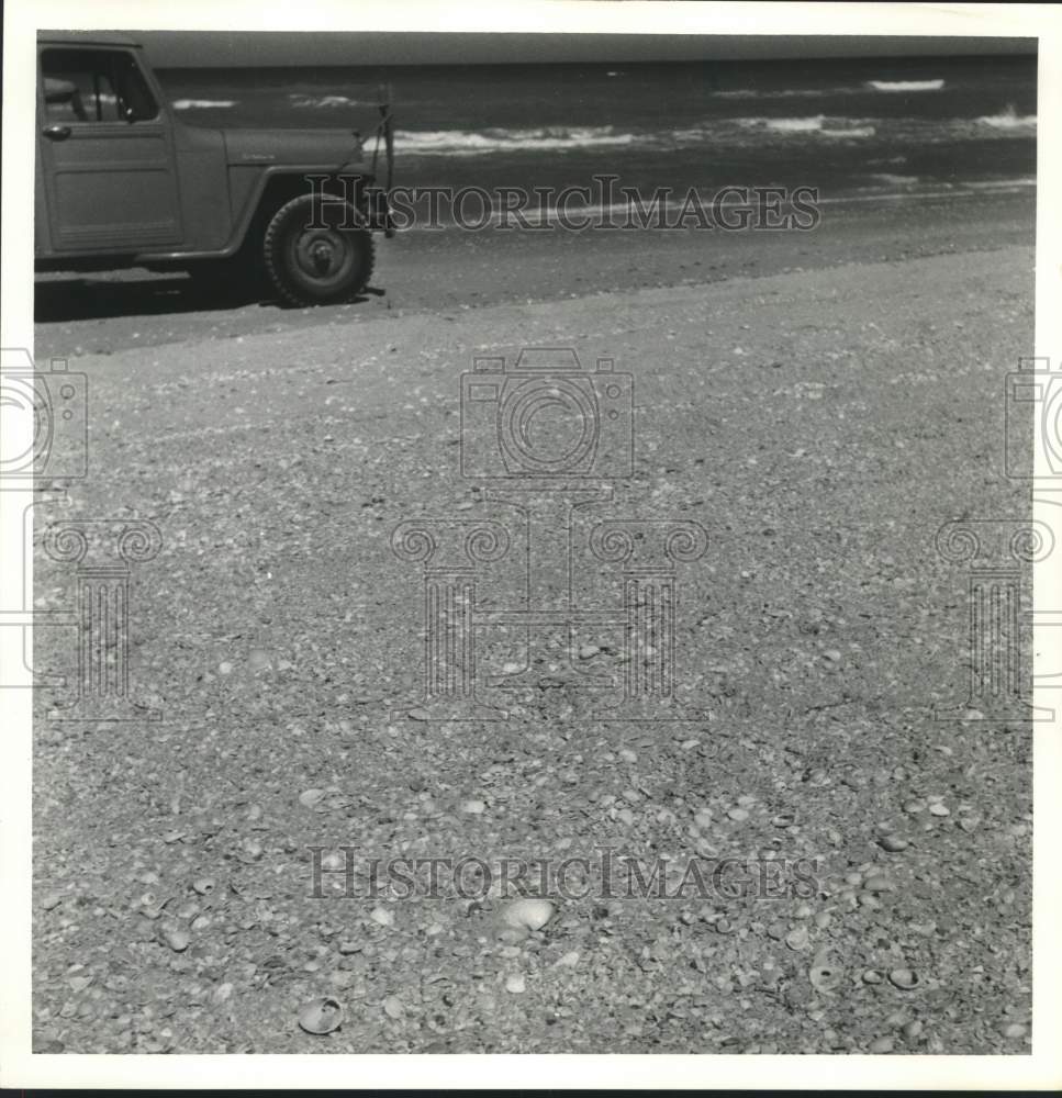 1962 Press Photo Shell bank on the beach of Padre Island, Texas - hca60655- Historic Images