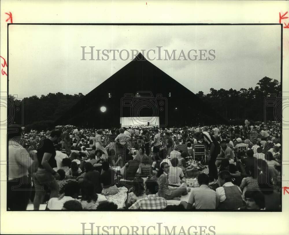 1981 Press Photo Crowd Watches Performance at Miller Outdoor Theater- Historic Images