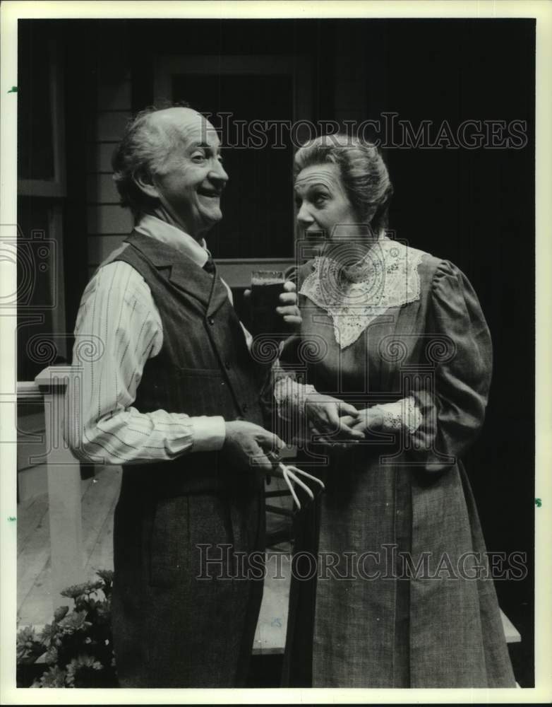 1987 Press Photo Scene from &quot;The Immigrant&quot; at Houston&#39;s Alley Theater- Historic Images