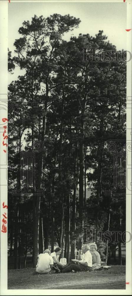 1980 Press Photo Picnickers listen to Houston Grand Opera&#39;s &quot;Die Fledermaus&quot;- Historic Images