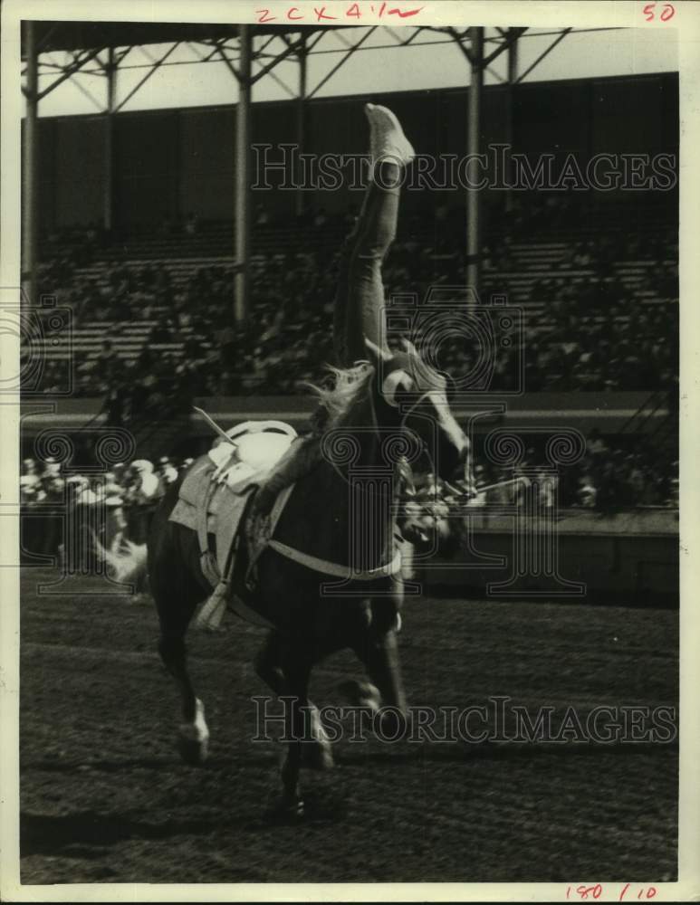 1968 Press Photo Wanda Rossi in Side Shoulder Stand - Houston Rodeo - hca64350- Historic Images