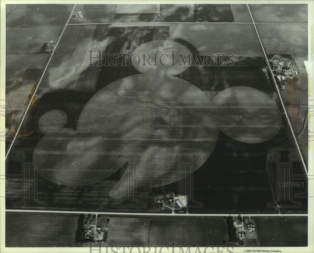 1988 Press Photo Aerial of Mickey Mouse's head made of corn and oats in Iowa- Historic Images