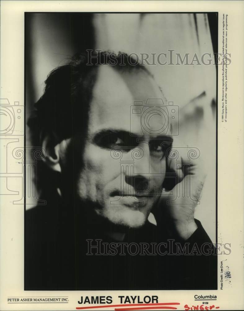 1991 Press Photo Musician James Taylor - hca68147- Historic Images