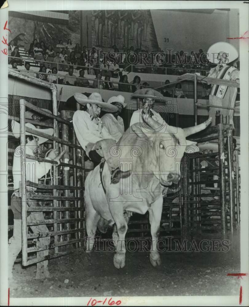 1977 Press Photo Fearless charro rides bull in Tony Aguilar&#39;s Rodeo - hca73312- Historic Images