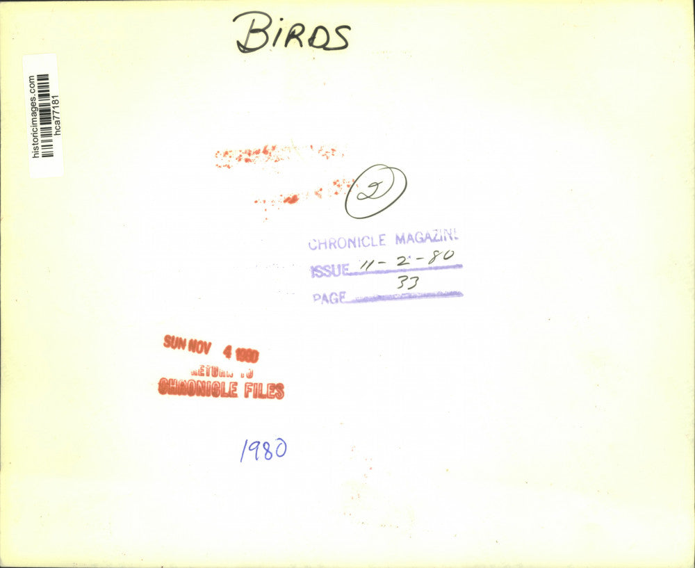 1980 Press Photo Bird on a branch - hca77181