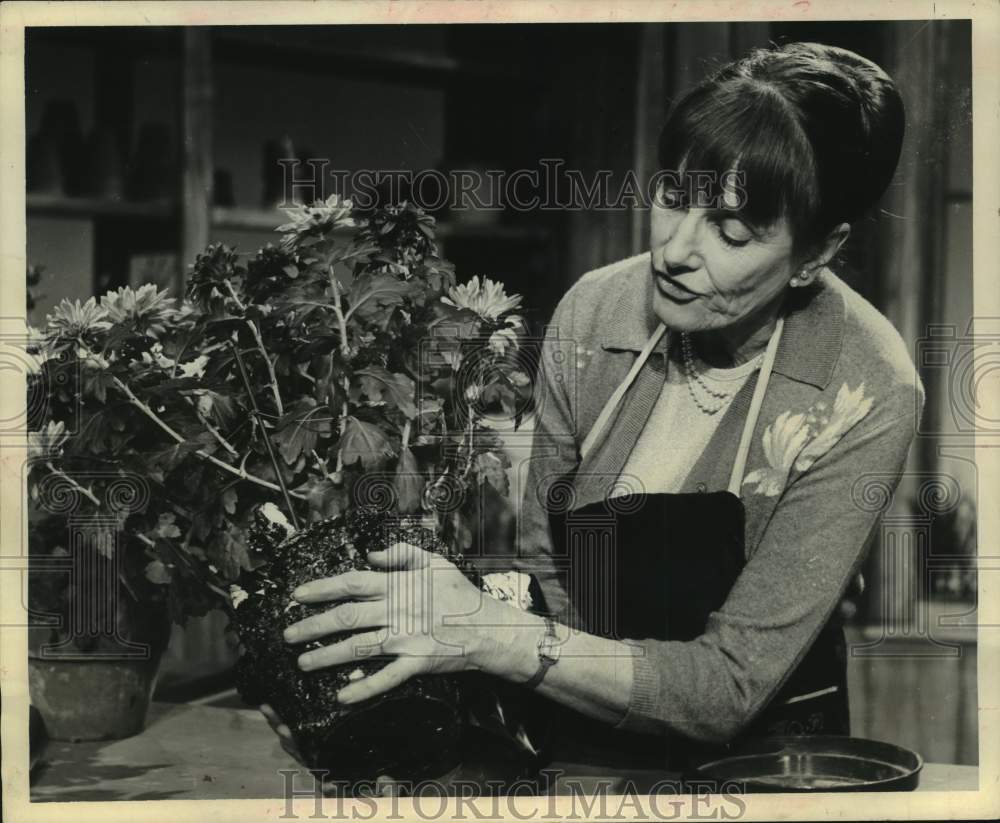 1968 Press Photo Thalassa Cruso's new TV series on plants- "Making Things Grow"