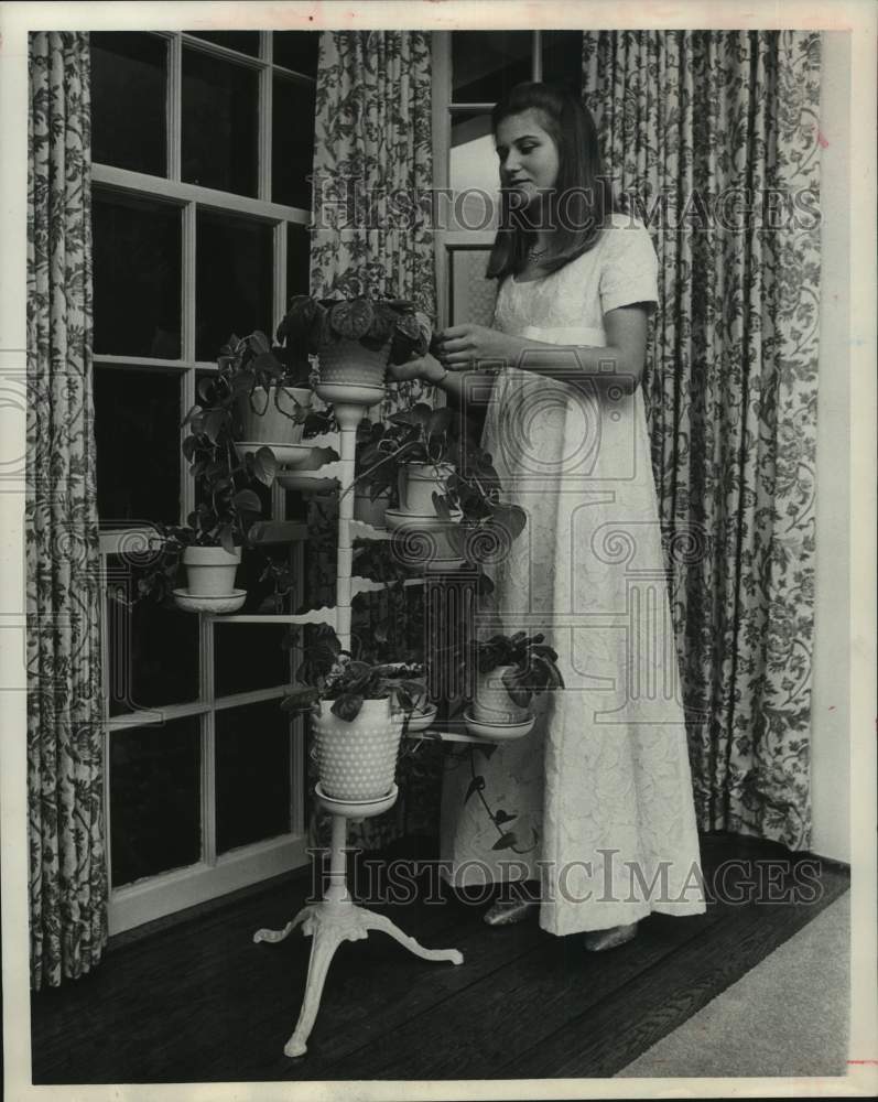 1968 Press Photo Debutante Anne Cronin chose silvered brocade, Texas - hca89172