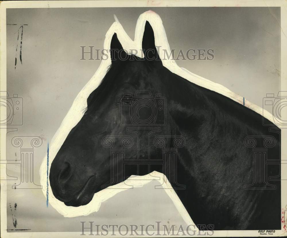 1961 Press Photo Horse - hcb31035- Historic Images