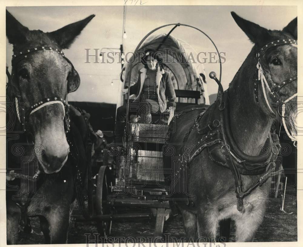 1970 Press Photo Kathy Woestendiek, The Chronicle&#39;s tenderfoot from the East- Historic Images