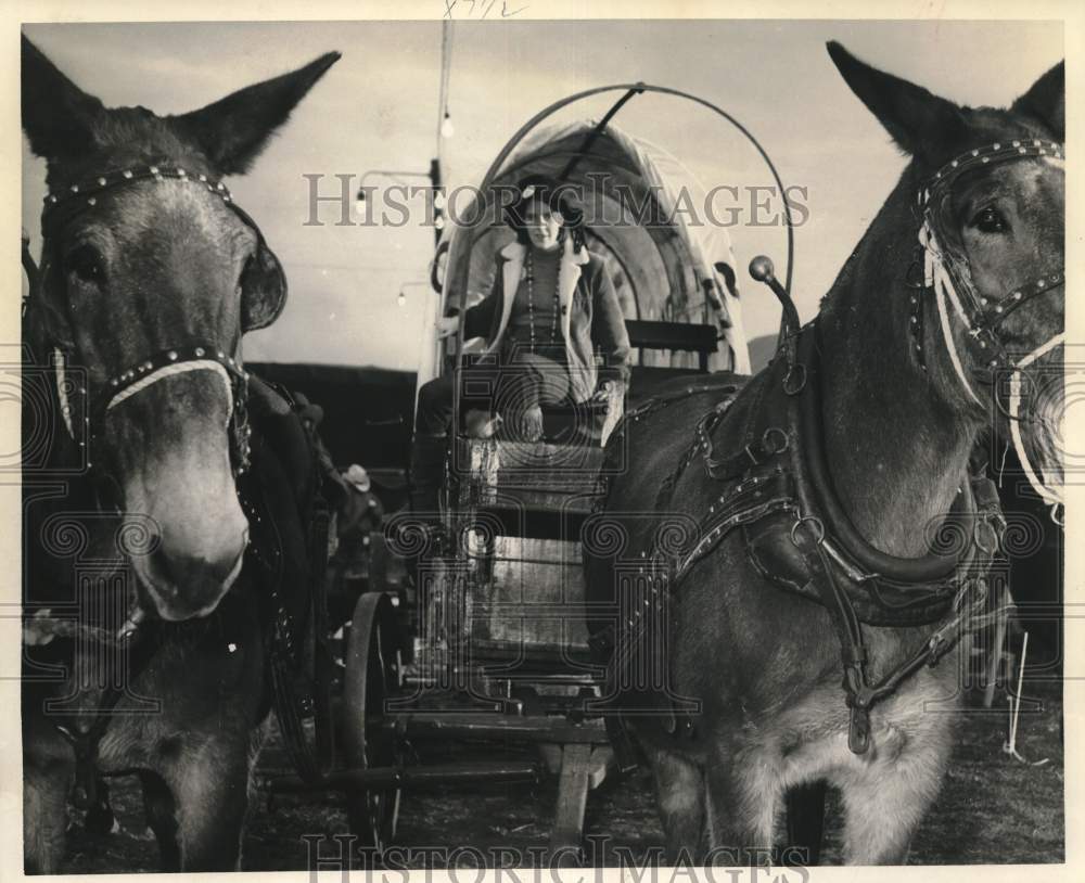 1970 Press Photo Kathy Woestendiek, The Chronicle's tenderfoot from the East- Historic Images