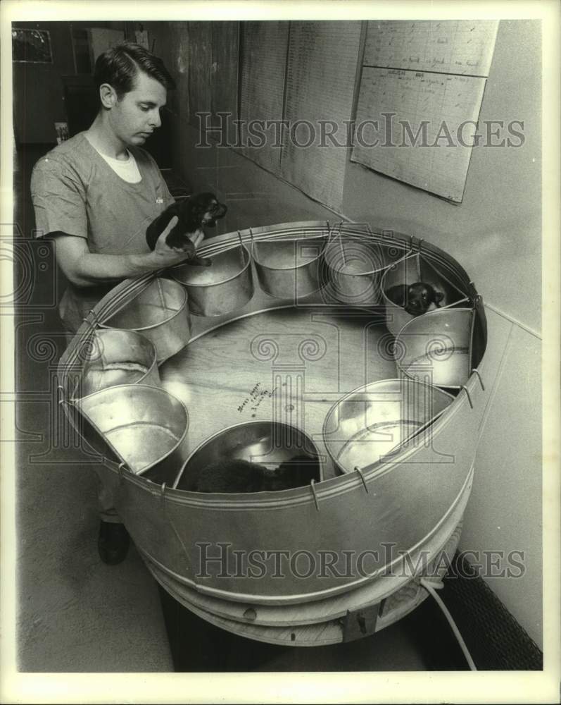 1971 Press Photo Four day old pups placed in centrifuge - U.S. Army conditioning