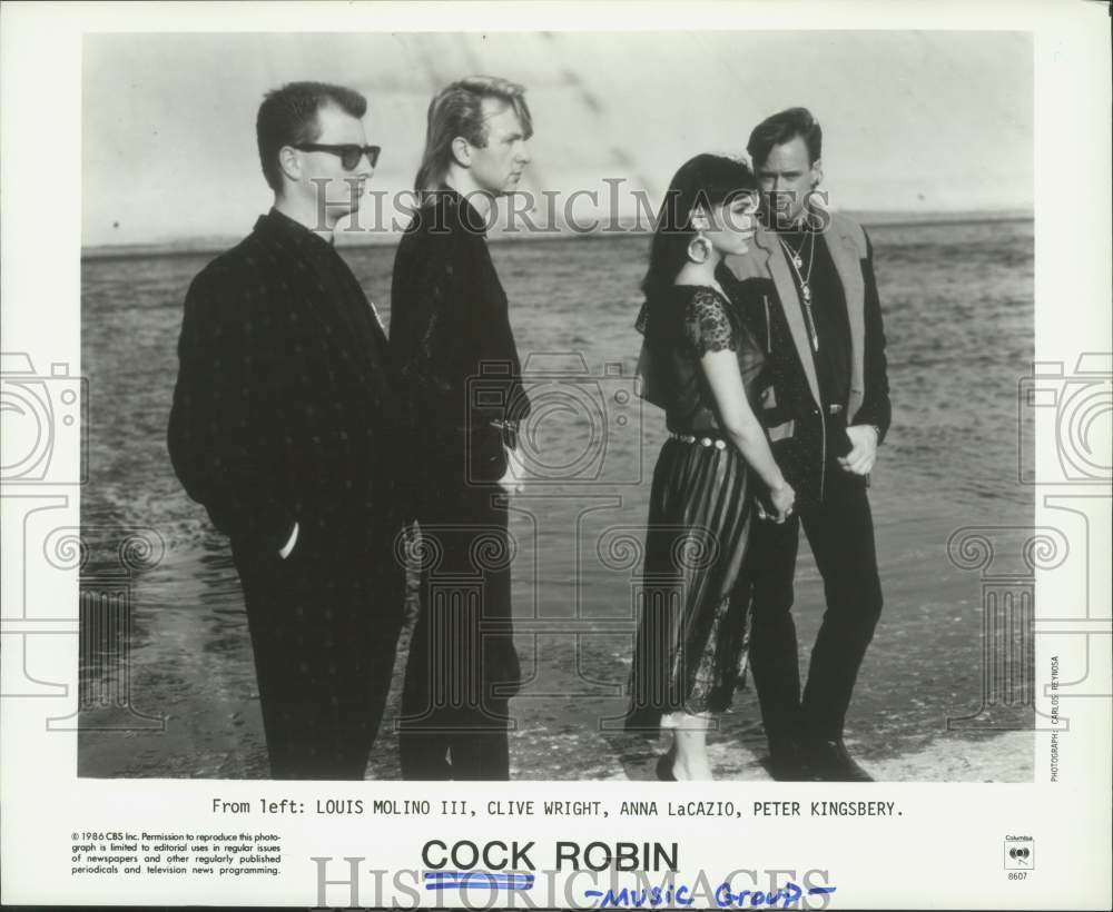 1986 Press Photo Members of Cock Robin music group - hcp00321